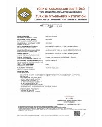 TSE-7847 2026